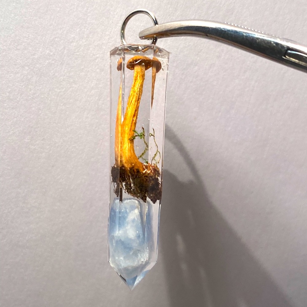 Laccaria laccata with a small piece of blue calcite within